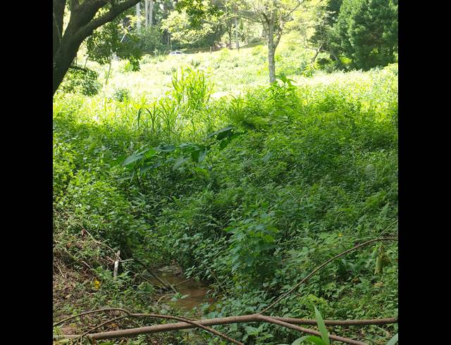 6,000M² VACANT LAND FOR SALE IN CLIFTON PARK